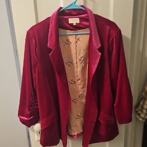 Skies Are Blue Velvet Blazer - Deep Pink